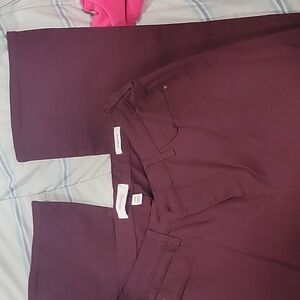 Skinny girl burgandy 14w pants
